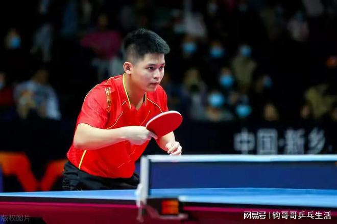 则完善塑造 则完善塑造