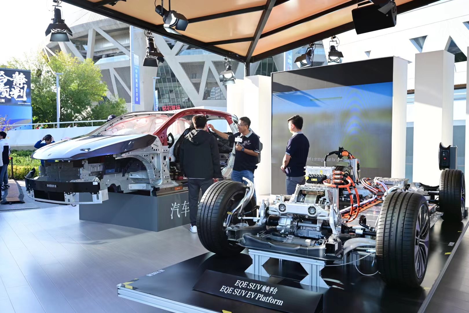 素共同作用 素共同作用