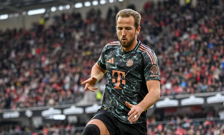 的乐观态度 的乐观态度