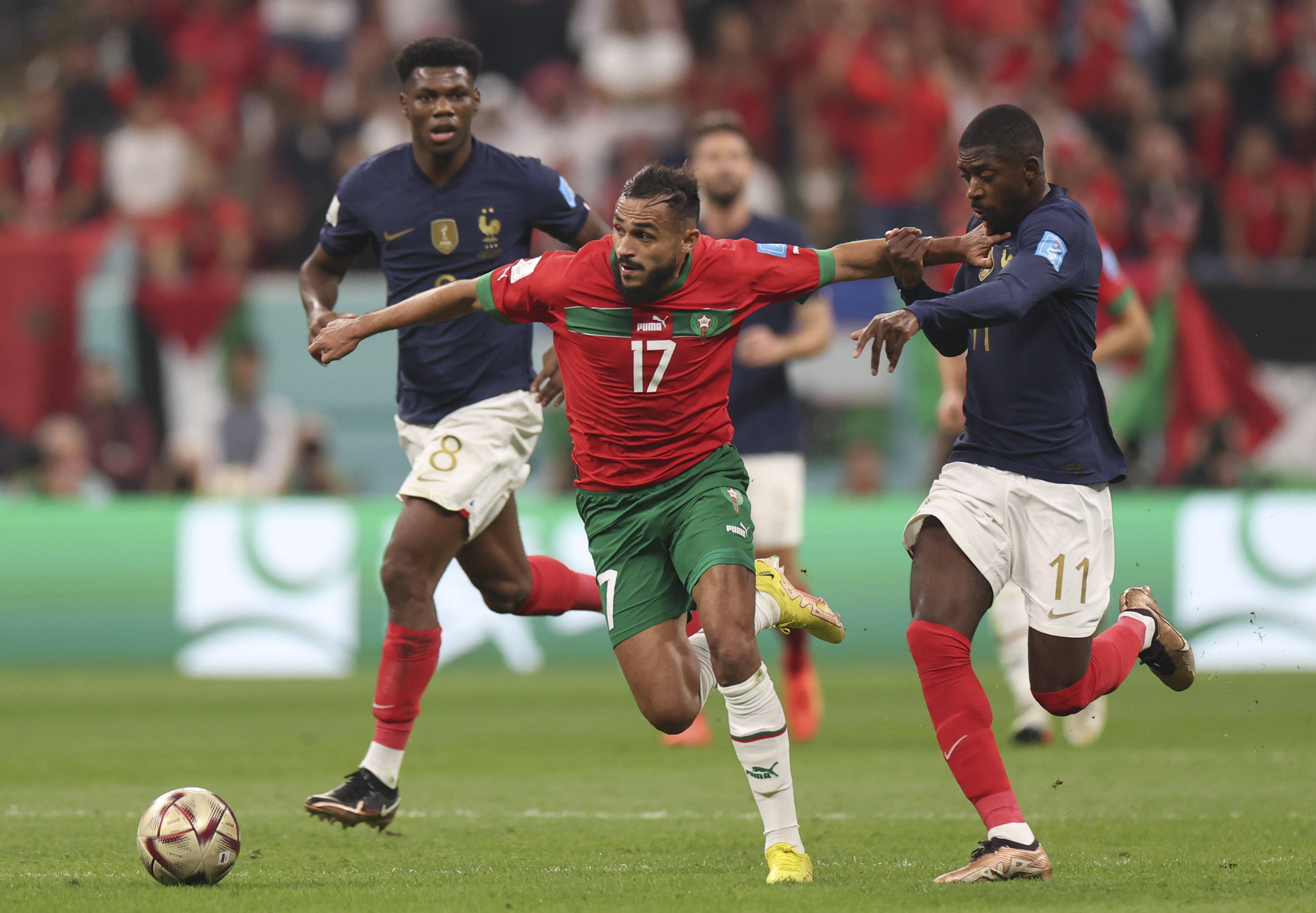 甚至可以说 甚至可以说